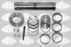 SASIC T793009 Repair Kit, kingpin
